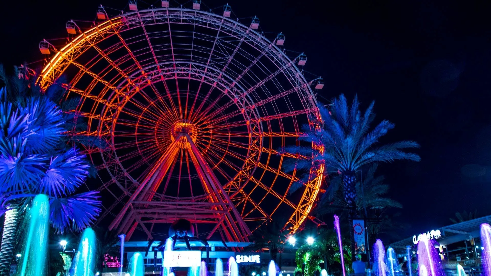 Orlando skyline and ferris wheel lit up at night, the city our signs are made for
